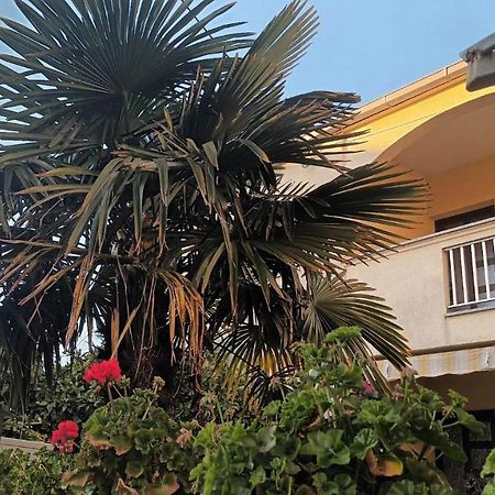 Studio Apartman Casper Ζαντάρ Εξωτερικό φωτογραφία